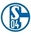 fc schalke