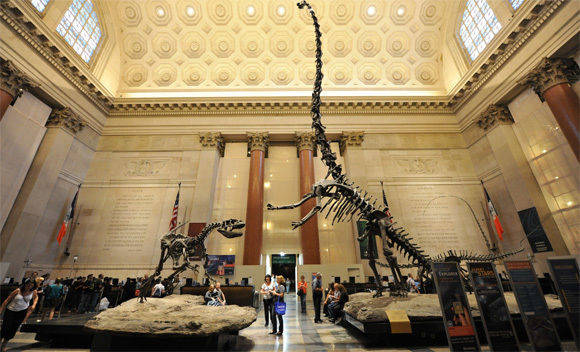 Die Clio-Preisverleihung wird im American Museum of Natural History in New York stattfinden.