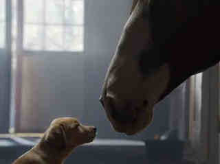 Super Bowl im Social Web: Budweiser rührt sie alle Super Bowl im Social Web: Budweiser rührt sie alle