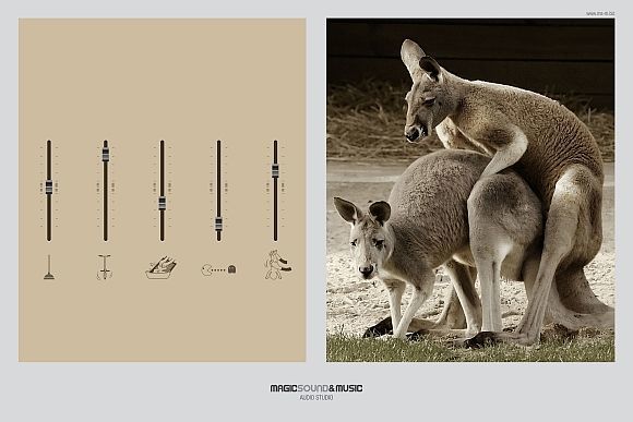 Der Sound der Natur: So klingt das also. Der Sound der Natur: So klingt das also.
