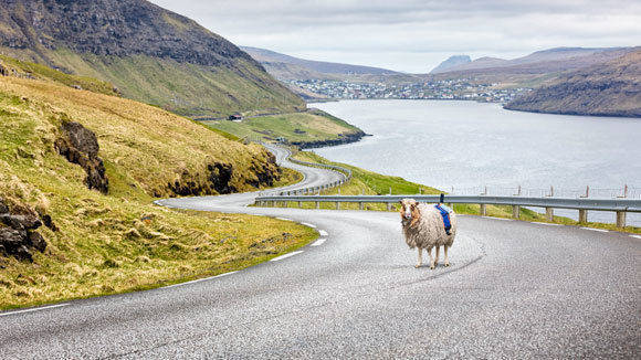 "Wenn Google Street View nicht zu den Färöer Inseln kommt, dann kommen die Färöer Inseln eben zu Google Street View".