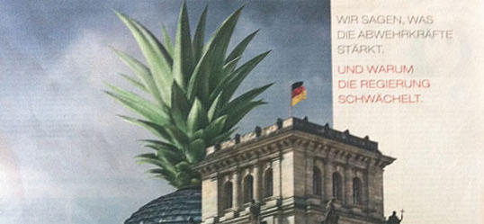 Topstory des "Stern": Die Reichstagsananas