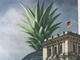 Topstory des "Stern": Die Reichstagsananas