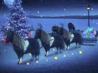 Pony-Dance: Wie ein Viral-Star zum Weihnachtsgeschenk wird Pony-Dance: Wie ein Viral-Star zum Weihnachtsgeschenk wird