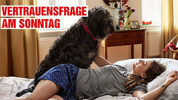 Springer "Bild am Sonntag" wird diese Woche 60. Das "spezielle Sonntagsgefühl" darf erstmals das Berliner Team von Ogilvy & Mather vermitteln.