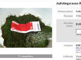 Fortuna-Fans verkaufen Aufstiegsrasen auf Ebay