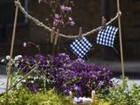 Guerilla-Gardening: Londons Schlaglöcher blühen auf
