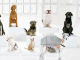 Youtube: Diese Spots wurden im Januar am meisten geteilt