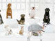 Youtube: Diese Spots wurden im Januar am meisten geteilt