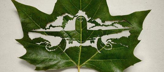 Appell an Baumspender: Plant-for-the-Planet startet Printkampagne