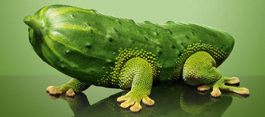 Gurke oder Gecko? Mit Plakaten wie diesen wirbt die Messe "Grüne Woche", die Freitag beginnt. Um nachhaltigen Konsum zu fördern, hilft auf jeden Fall mehr Klarheit und Aufklärung.