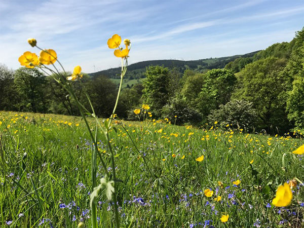 Zinglers Landsitz liegt im Naturpark Nordeifel, an der belgischen Grenze.