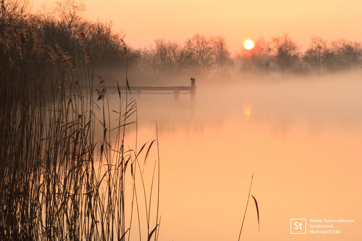 sanderstock/Adobe Stock