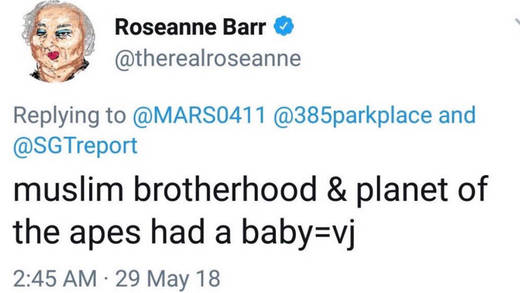 Auslöser: Roseanne Barrs Tweet über Valerie Jarrett.