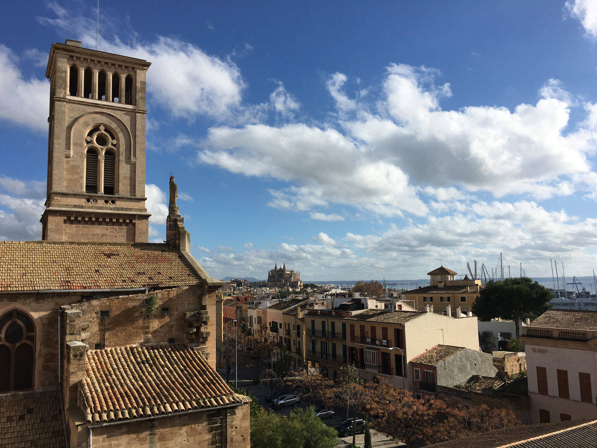 Blick über die Dächer von Palma.