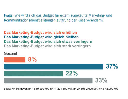 Die Entwicklung der Marketingbudgets wird eher negativ eingeschätzt