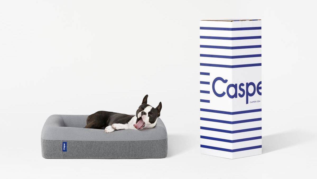 Die Hundematratze von Casper wird in solch einem Karton geliefert.