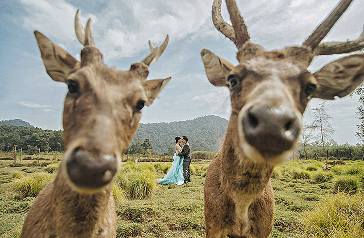 Das Gewinnerfoto in der Kategorie "Eyecatcher"