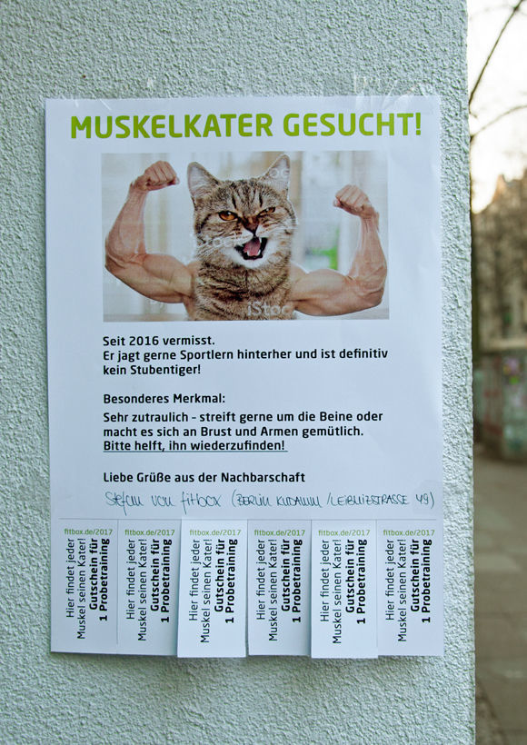 Kater entlaufen? - Fitbox-Werbung in Berlin (Abb.: Preuss und Preuss)