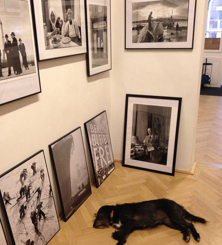 Mim in der Galerie von Erich Lessing in der Weihburggasse 22.