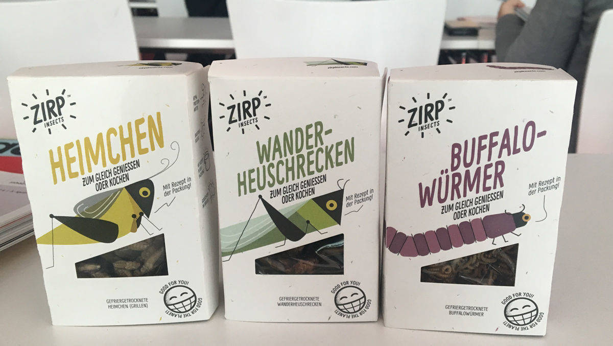 Verpackungsdesign: Hey Sister verpacken für Zirp Insects Würmer und Heuschrecken