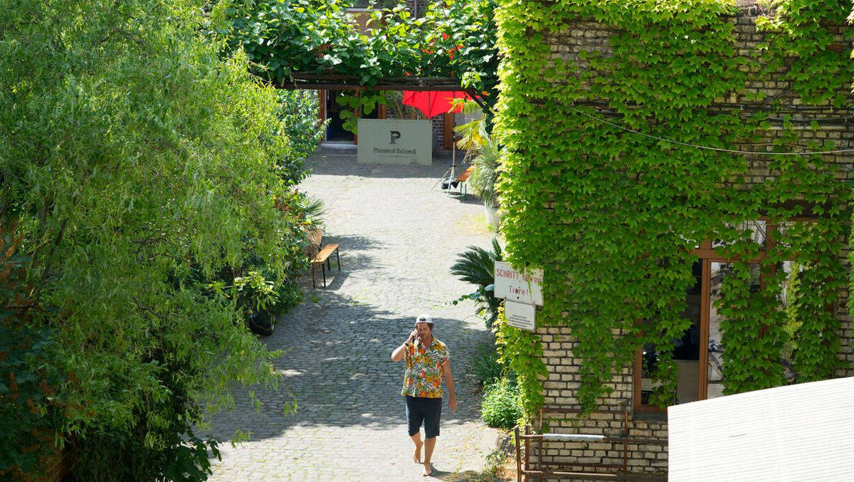 Flexibel arbeiten - auch unter dem Kiwibaum im Hof.