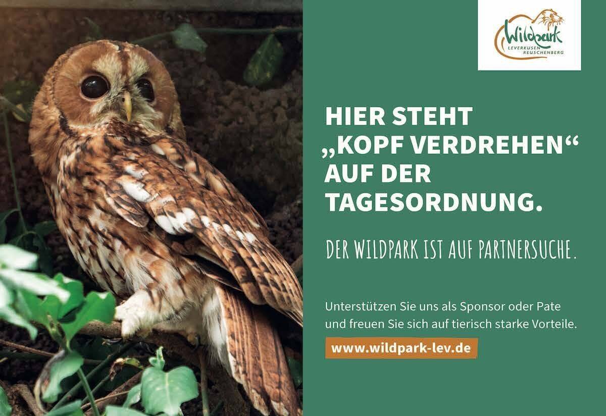 46 verschiedene Wild- und Haustierarten beherbergt der Wildpark Reuschenberg.