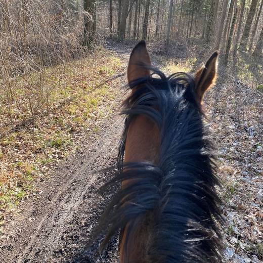 Redakteure in ihrer Freizeit