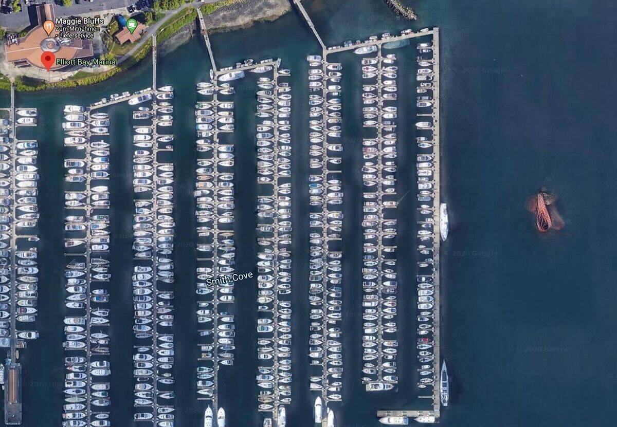 Rechts im Bild zu sehen: Eine vermeintliche Riesen-Libelle schwimmt auf den Yachthafen von Seattle zu.