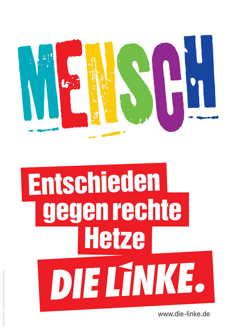 Wahlmotiv der Linken 2017