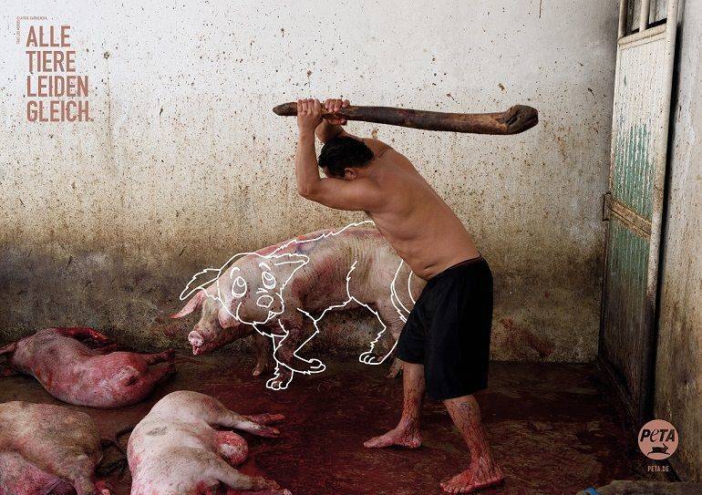 Bild der Motivreihe "Alle Tiere leiden gleich"