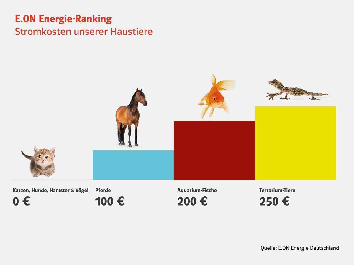 Tierhaltung und Stromverbrauch