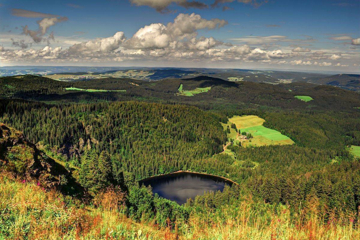Der Schwarzwald ist ein Mittelgebirge. Der Name kommt von den Fichten, die schnell und dicht wachsen.