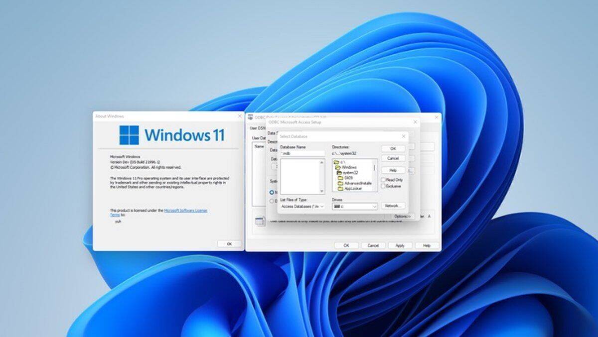 Fundstück aus der Steinzeit: Ein Windows-3.1-Dialogfenster hat es in Version 11 geschafft.