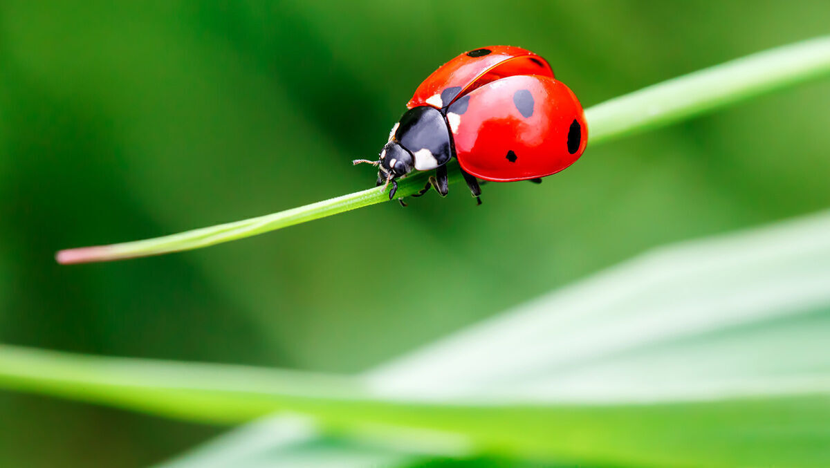 Implementing Sustainability Measures in SMEs: A Step-by-Step Guide for Success