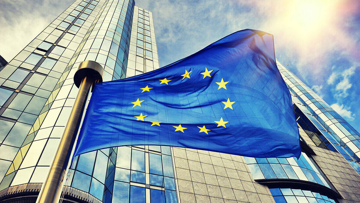 Das Netzwerk C4E will mit EU-Präsenz und -Kompetenz punkten.