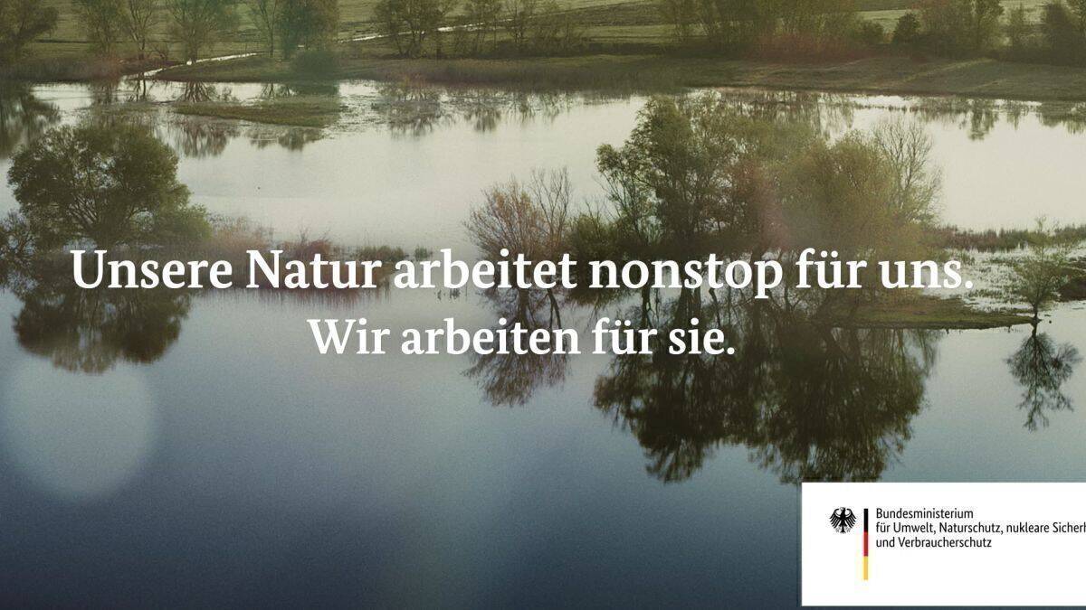 Wälder, Moore, Flussauen – sie binden CO2 aus der Luft und sollten daher besonders geschützt werden. 