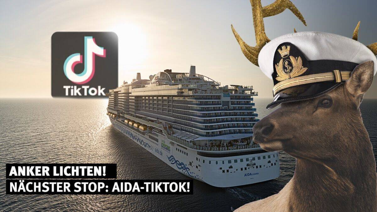 Seit dem Start im September hat es der Tiktok-Account von Aida mit den Hirschen auf rund 59.000 Follower gebracht (Stand 28. Oktober 2022).