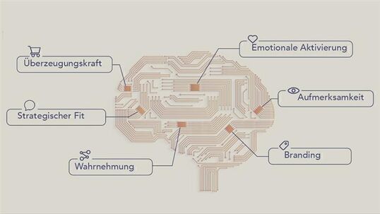 Bild: KI plus Neuro: mehr Wirkung, weniger Blindflug
