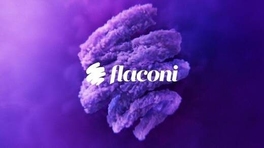 Flaconi startet eine Kampagne zur Shopping-Hochsaison.