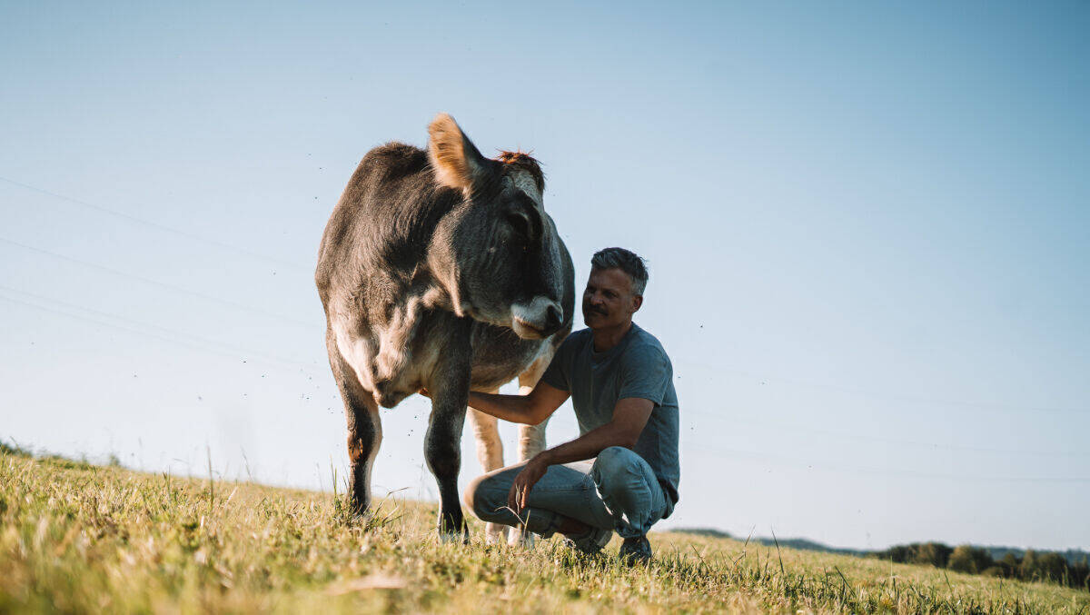 Für Kühe wie Emma: Veganuary motiviert anlässlich der #PlantMilkWeek, pflanzliche Alternativen zu Milchprodukten auszuprobieren.
