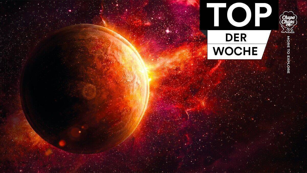 Farbenprächtige und detailverliebte Motive.