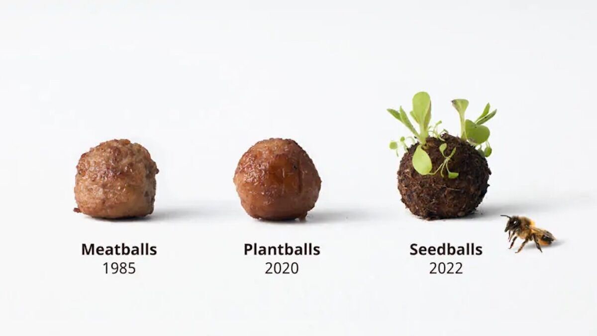 Ikea macht jetzt auch Kttbullar fr Insekten | W&V