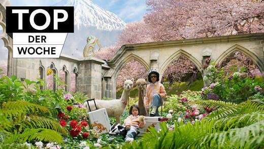 Cool Alpaka-Kids: Floyd meets Meissen
