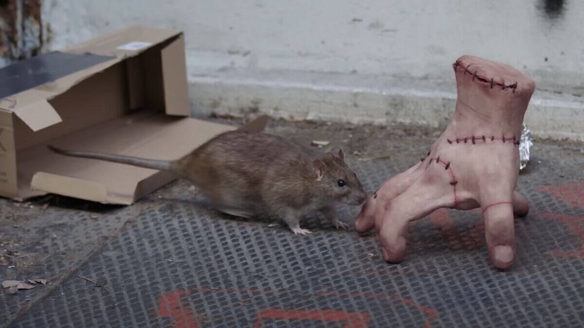 Am Ende findet das eiskalte Händchen sogar einen Freund in New York.