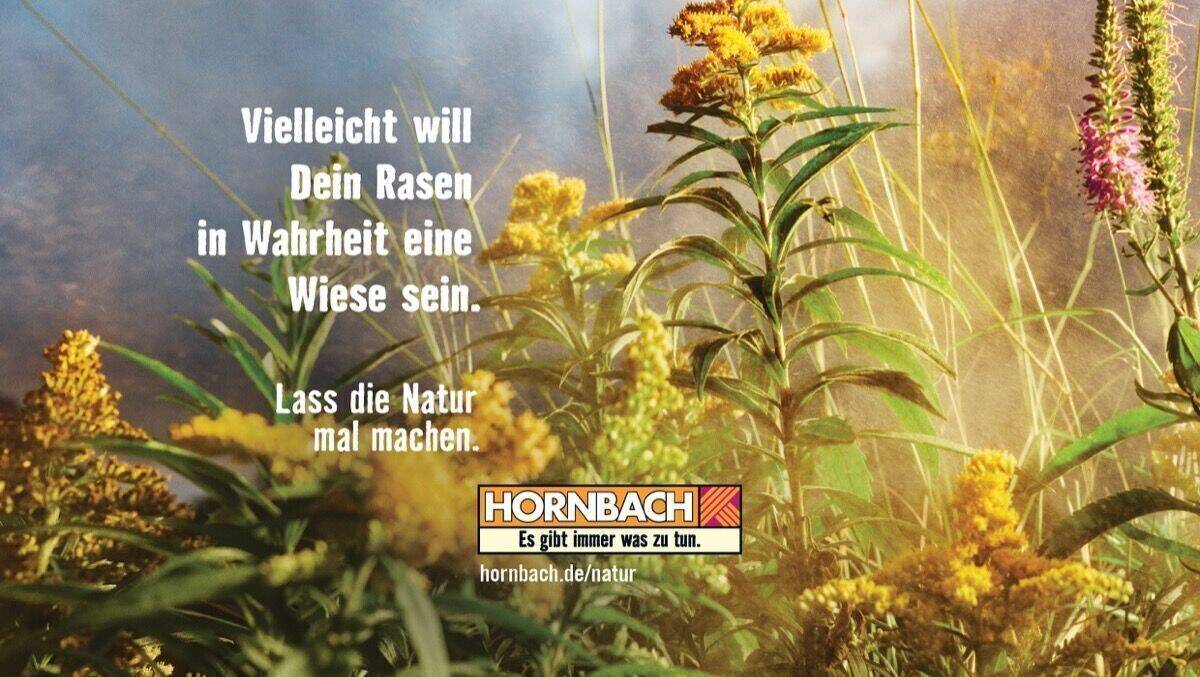 Bis zum Juni steht bei Hornbach alles im Zeichen des Naturgartens.