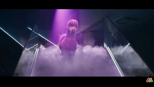 Bild: Humor in der Werbung: "Entscheidungsträger: innen sind ja auch nur Menschen"