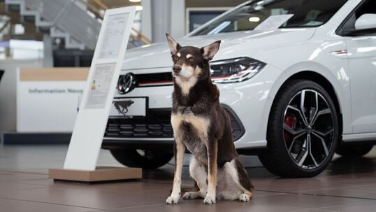 Bild: VWs neuster SUV: Wie PR und Marketing ineinandergreifen