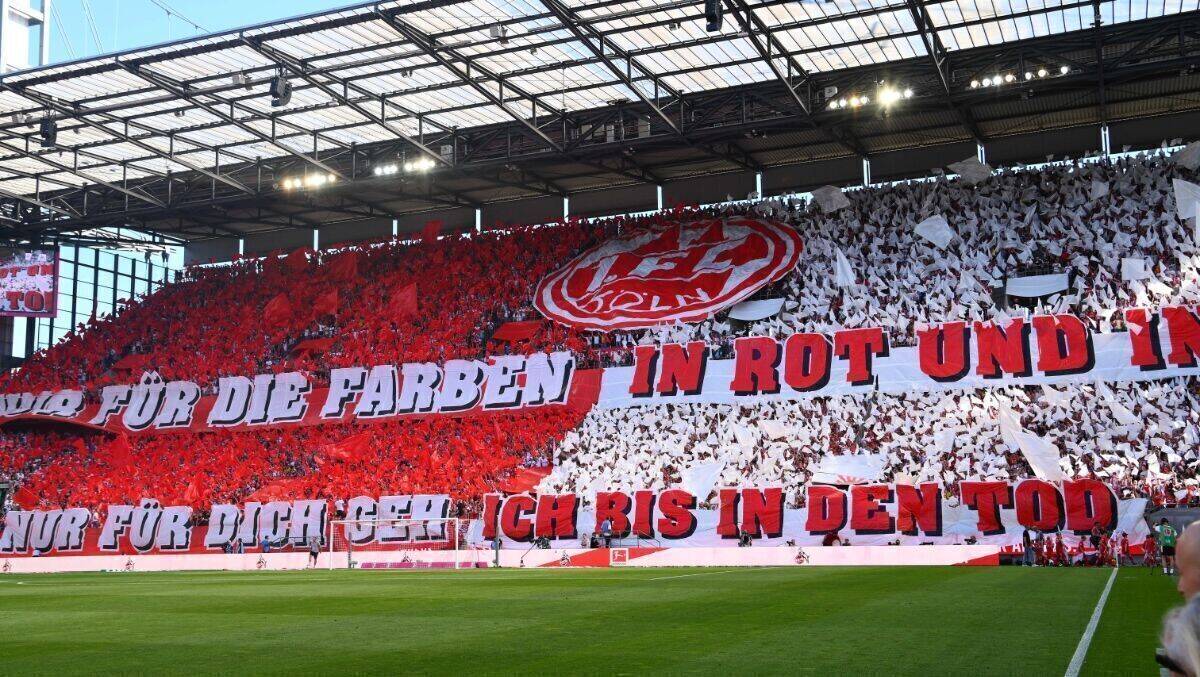 Bei der Website ganz vorne: Der 1. FC Köln