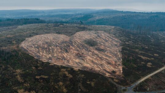 Bild: Wie CosmosDirekt Nachhaltigkeit nicht nur verspricht, sondern umsetzt